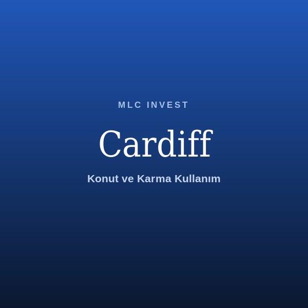 Cardiff Development Project